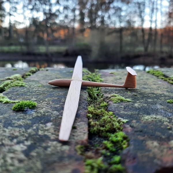 ASW12 - Segelflugzeug-Modell aus Buchenholz im Maßstab 1:100
