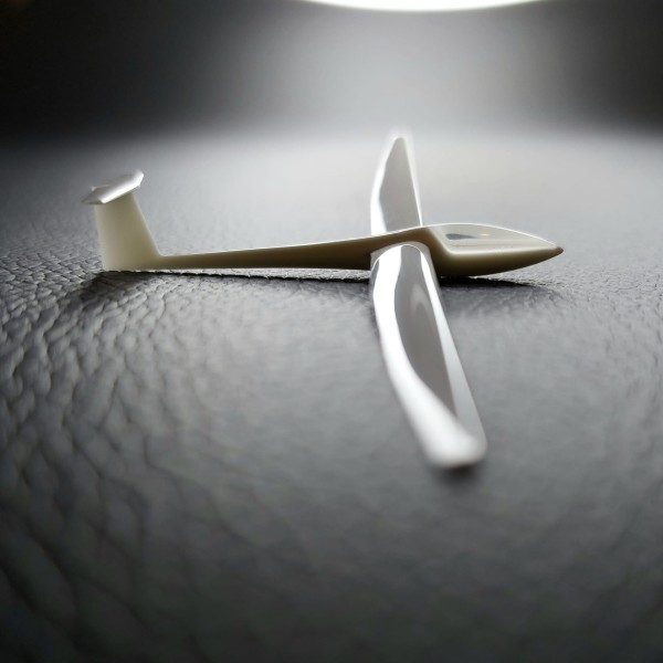 DG 300 - Flugzeugmodell aus PU mit Haube aus Epoxidharz im Maßstab 1:150